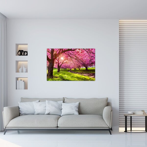 Tablou - Cireși înfloriți, Hurd Park, Dover, New Jersey (90x60 cm)