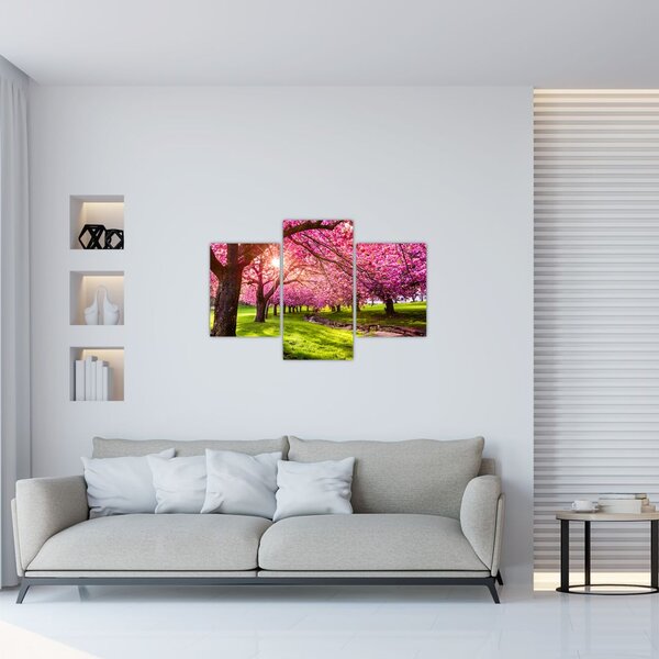 Tablou - Cireși înfloriți, Hurd Park, Dover, New Jersey (90x60 cm)