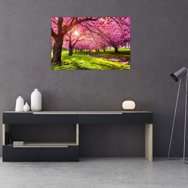 Tablou - Cireși înfloriți, Hurd Park, Dover, New Jersey (90x60 cm)