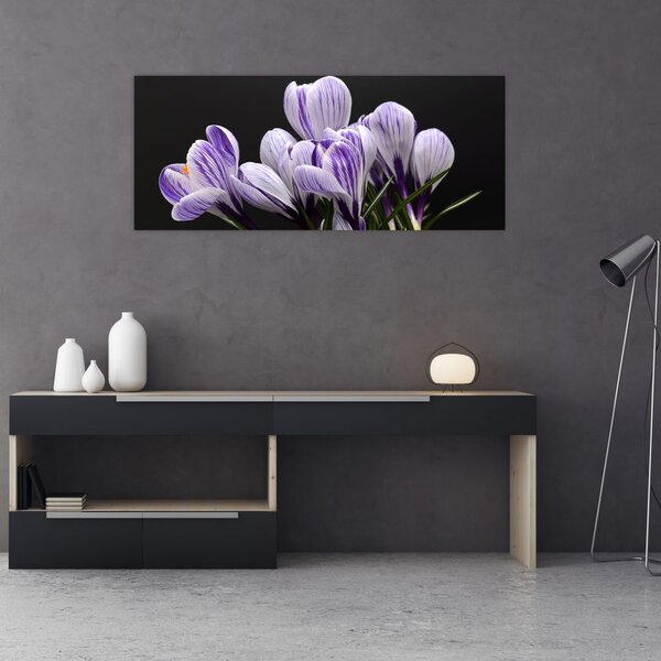 Tablou - Crocus violet (120x50 cm)