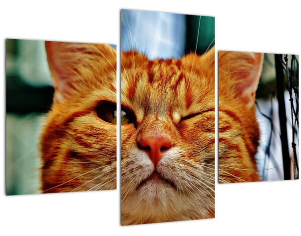 Tablou - Pisica suspicioasă (90x60 cm)