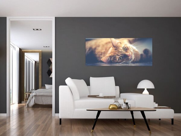 Tablou - Pisici pe podea (120x50 cm)