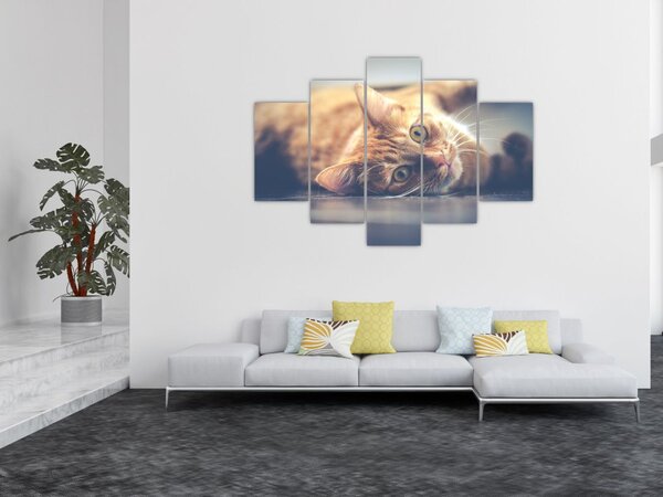Tablou - Pisici pe podea (150x105 cm)