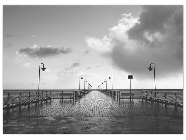 Tablou - Promenada la mal (70x50 cm)