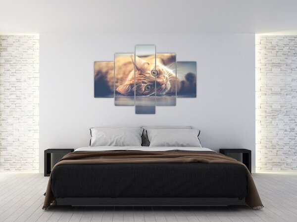 Tablou - Pisici pe podea (150x105 cm)