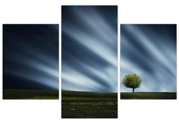 Tablou -Aurora boreală (90x60 cm)