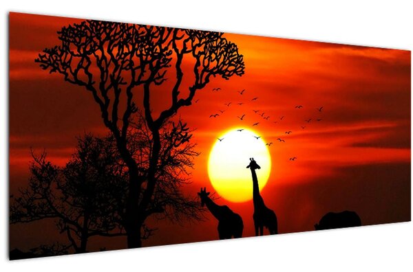 Tablou - Siluete animalelor la apus de soare (120x50 cm)