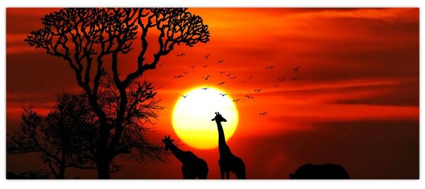 Tablou - Siluete animalelor la apus de soare (120x50 cm)