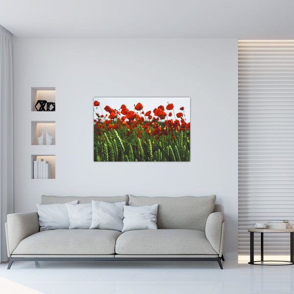 Tablou - Maci în vânt (90x60 cm)