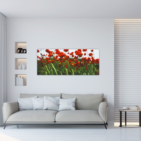 Tablou - Maci în vânt (120x50 cm)
