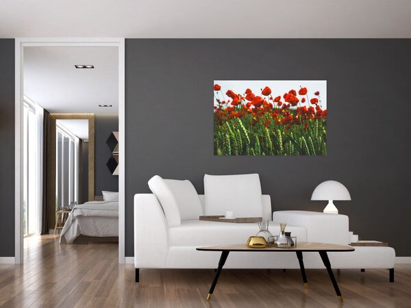 Tablou - Maci în vânt (90x60 cm)
