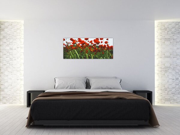 Tablou - Maci în vânt (120x50 cm)