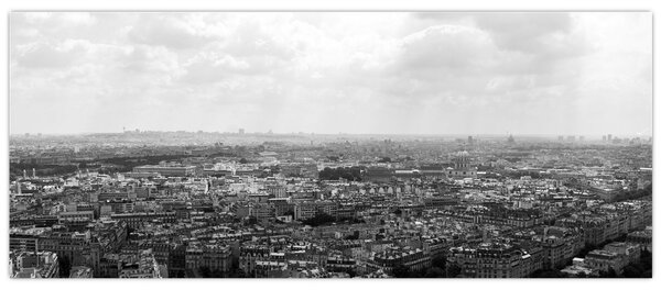Tablou - Acoperișuri clădirilor din Paris (120x50 cm)