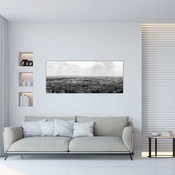 Tablou - Acoperișuri clădirilor din Paris (120x50 cm)