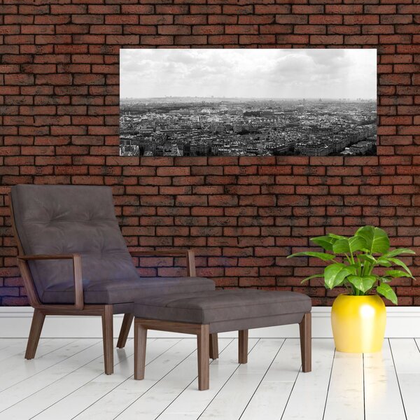 Tablou - Acoperișuri clădirilor din Paris (120x50 cm)