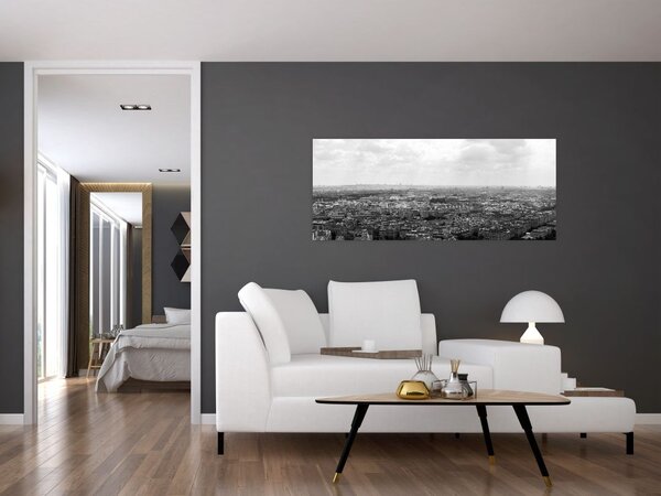 Tablou - Acoperișuri clădirilor din Paris (120x50 cm)