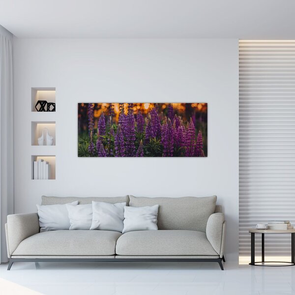 Tablou - Flori de lupin (120x50 cm)