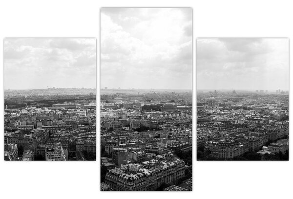 Tablou - Acoperișuri clădirilor din Paris (90x60 cm)