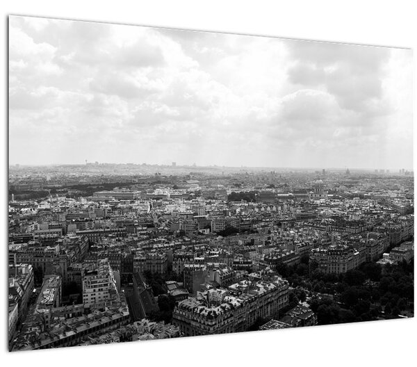 Tablou - Acoperișuri clădirilor din Paris (90x60 cm)