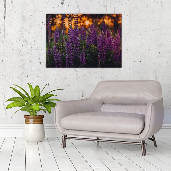 Tablou - Flori de lupin (70x50 cm)