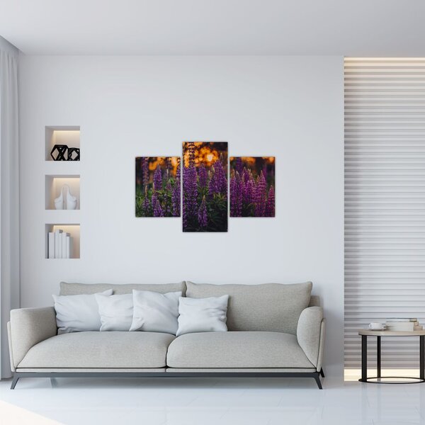 Tablou - Flori de lupin (90x60 cm)
