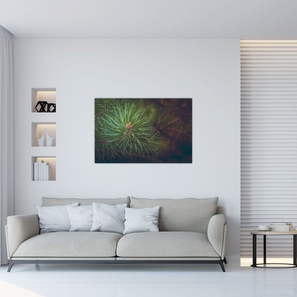 Tablou - Pin (90x60 cm)