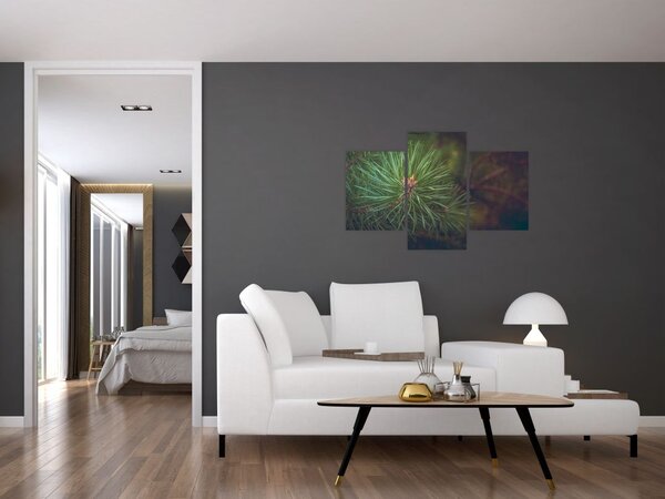 Tablou - Pin (90x60 cm)