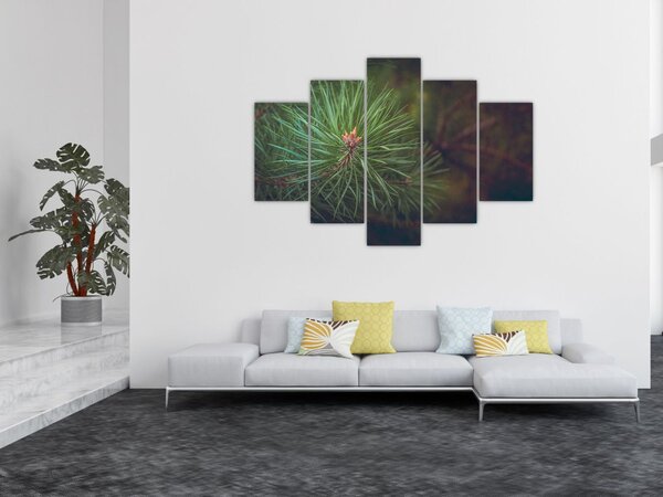 Tablou - Pin (150x105 cm)