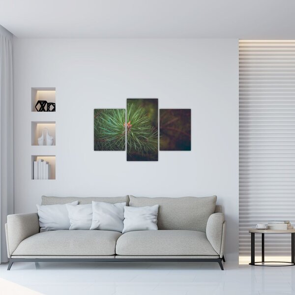 Tablou - Pin (90x60 cm)