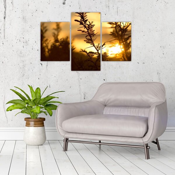 Tablou - Apus de soare (90x60 cm)