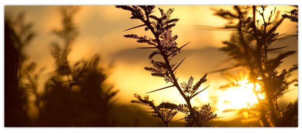Tablou - Apus de soare (120x50 cm)