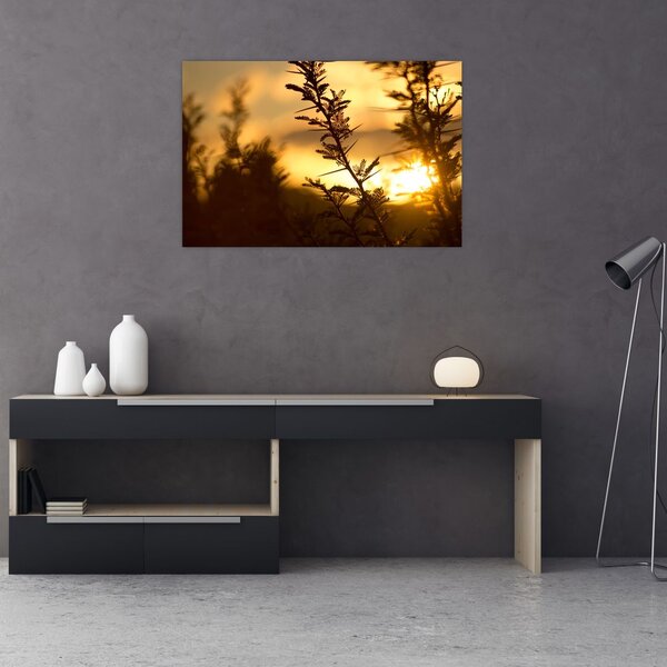 Tablou - Apus de soare (90x60 cm)