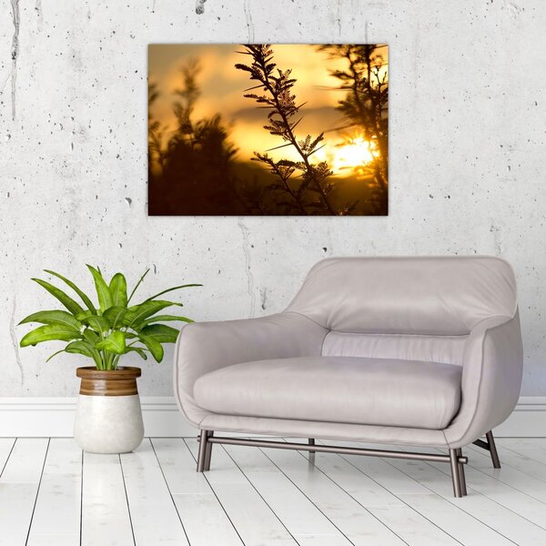 Tablou - Apus de soare (70x50 cm)