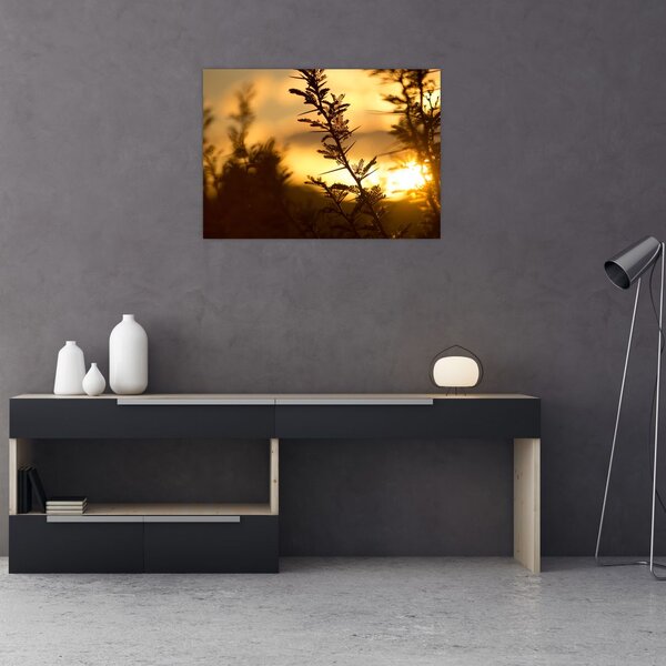 Tablou - Apus de soare (70x50 cm)