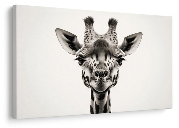 Tablou portret girafă