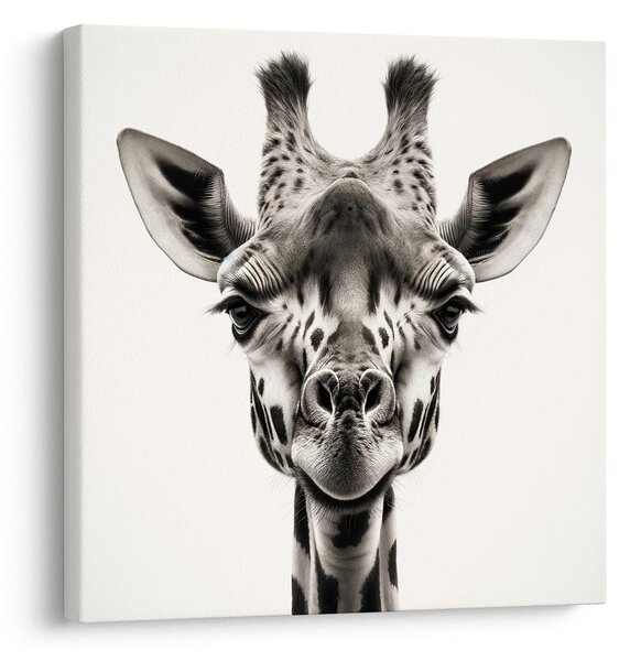 Tablou privirea girafei
