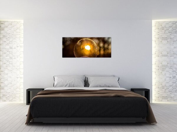 Tablou - Bulă transparentă (120x50 cm)