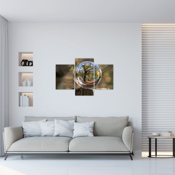 Tablou - Reflecție intr-o sferă transparentă (90x60 cm)