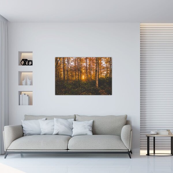 Tablou - Pădurea toamna (90x60 cm)