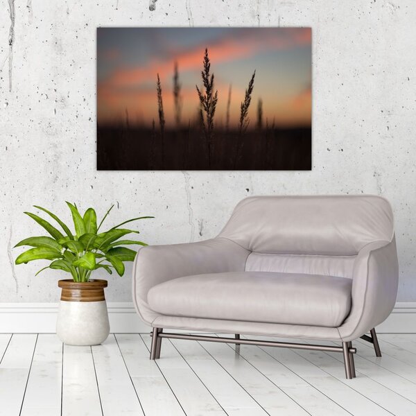 Tablou - Silueta plantei (90x60 cm)