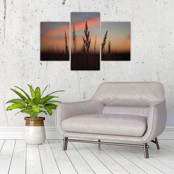 Tablou - Silueta plantei (90x60 cm)