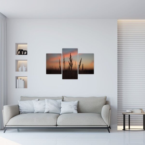 Tablou - Silueta plantei (90x60 cm)
