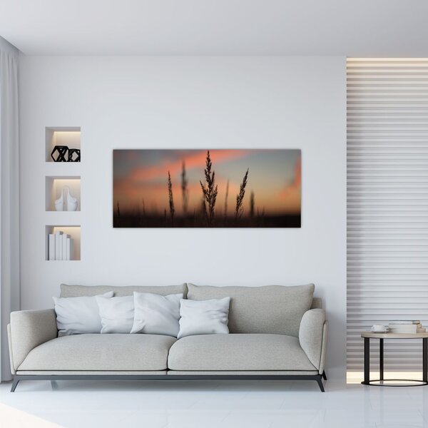Tablou - Silueta plantei (120x50 cm)