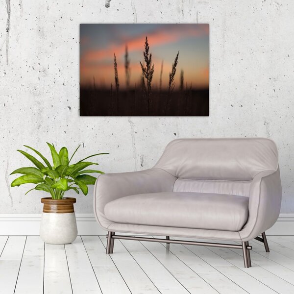 Tablou - Silueta plantei (70x50 cm)