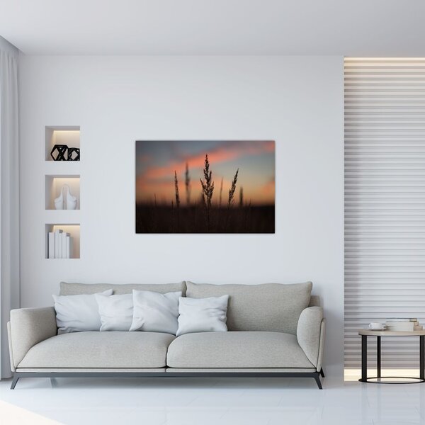 Tablou - Silueta plantei (90x60 cm)