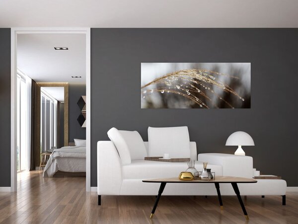 Tablou - Picături pe plantă (120x50 cm)