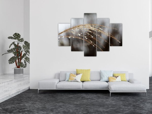 Tablou - Picături pe plantă (150x105 cm)