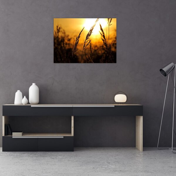Tablou - Apus de soare (70x50 cm)