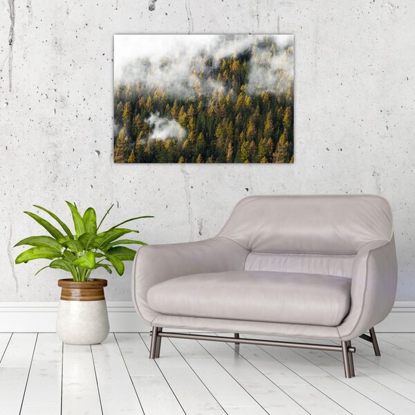 Tablou - Pădure în nori (70x50 cm)