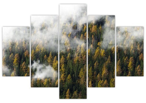 Tablou - Pădure în nori (150x105 cm)